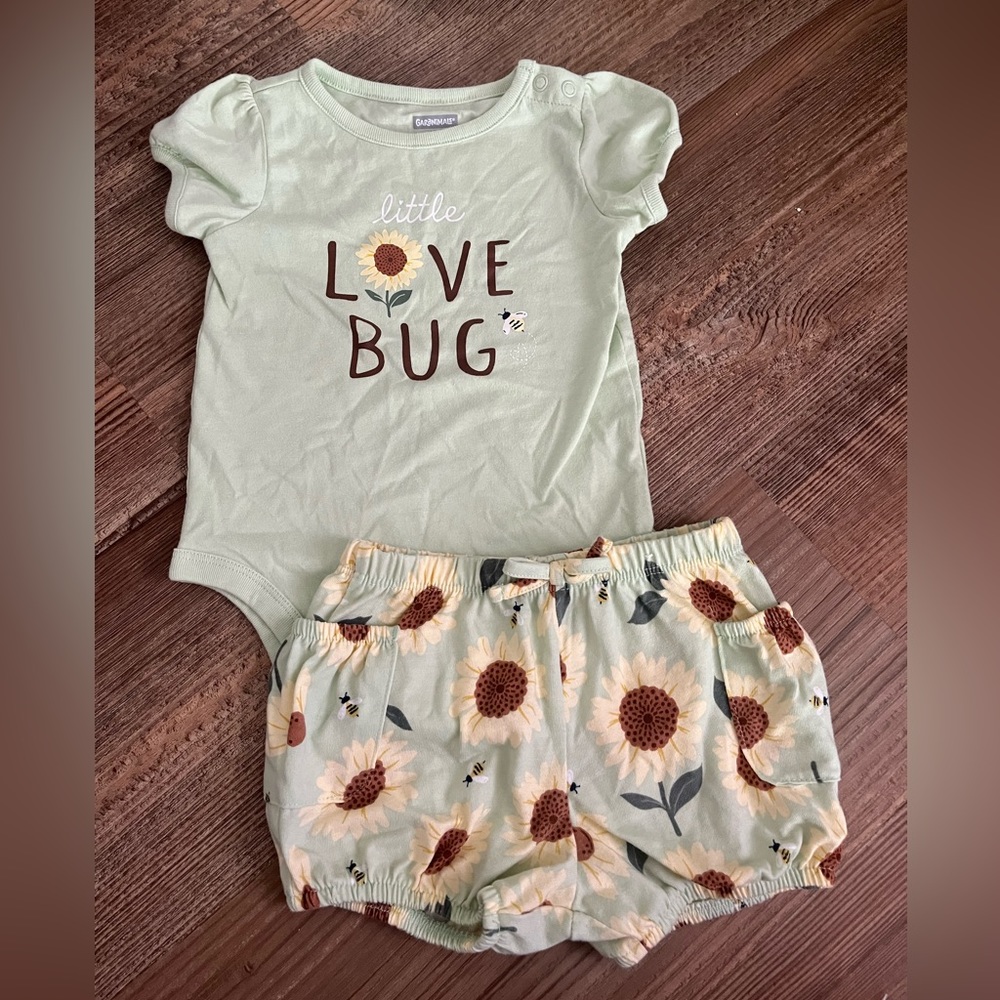12-18 month garanimals set